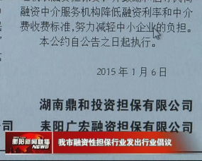 规范非融资性担保业务，护航市场健康发展——我市融资性担保行业发出行业倡议